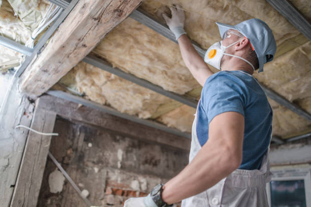 Best DIY Insulation Kits and Guidance in Millvale, PA