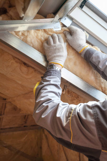 Best Geographic-Specific Insulation Services in Millvale, PA